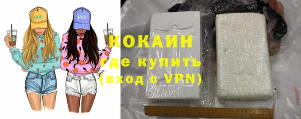 индика Карпинск
