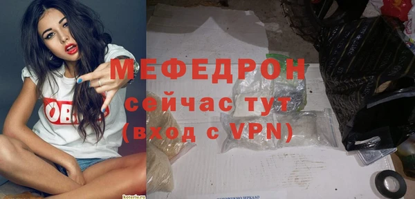 индика Карпинск