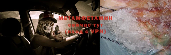 индика Карпинск