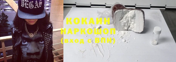 индика Карпинск