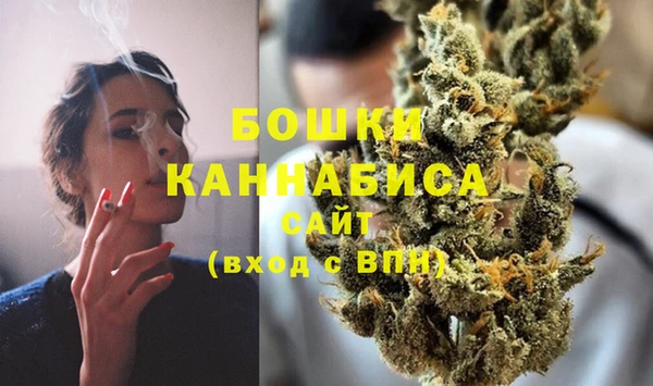 индика Карпинск