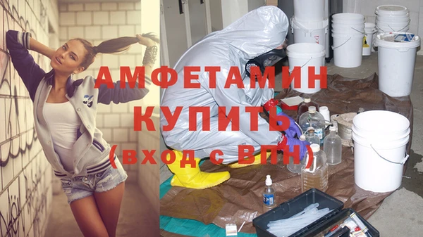 индика Карпинск