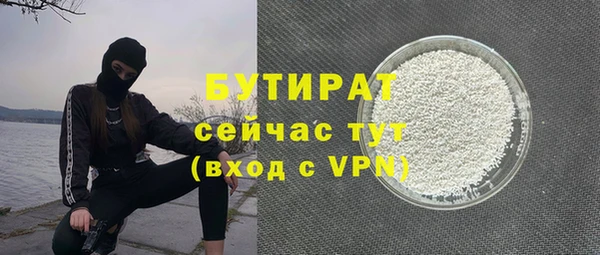 индика Карпинск