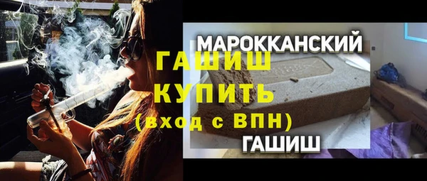 индика Карпинск