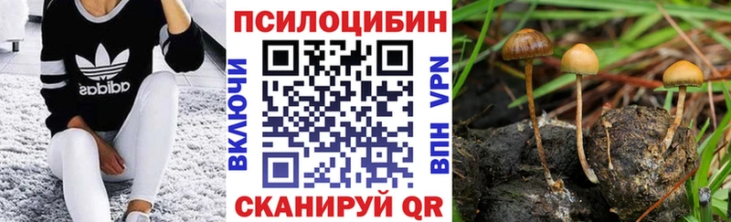 Псилоцибиновые грибы прущие грибы  Углич 