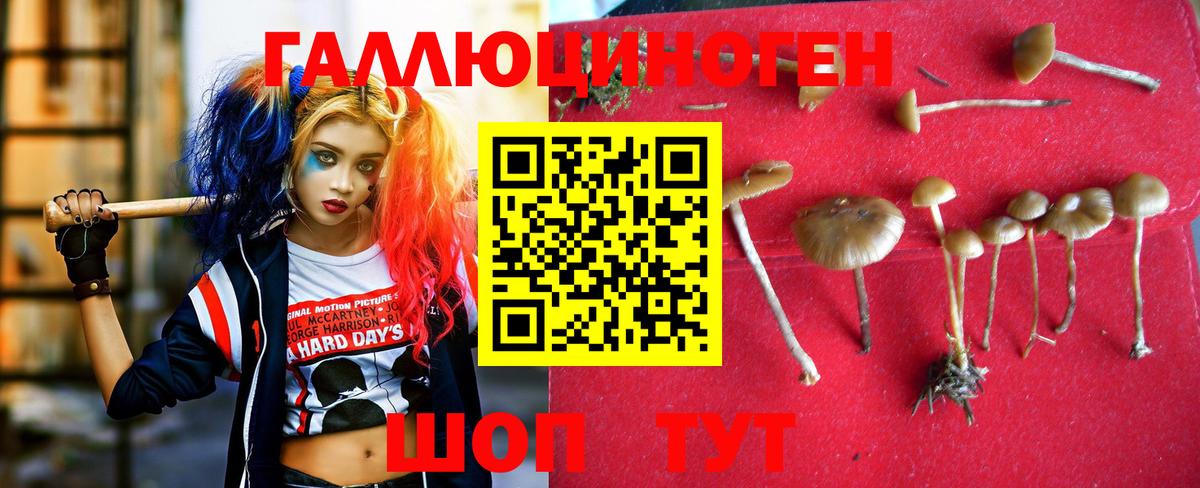 Псилоцибиновые грибы мухоморы Углич