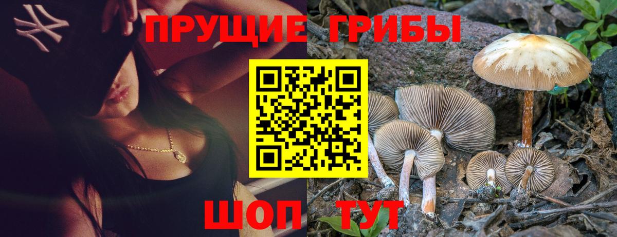 купить  цена  Галлюциногенные грибы GOLDEN TEACHER  Углич  Вход с VPN  Псилоцибиновые грибы Magic Shrooms 