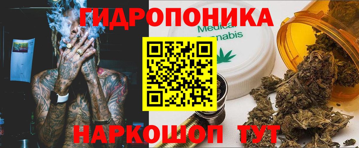 Бошки марихуана сатива Углич